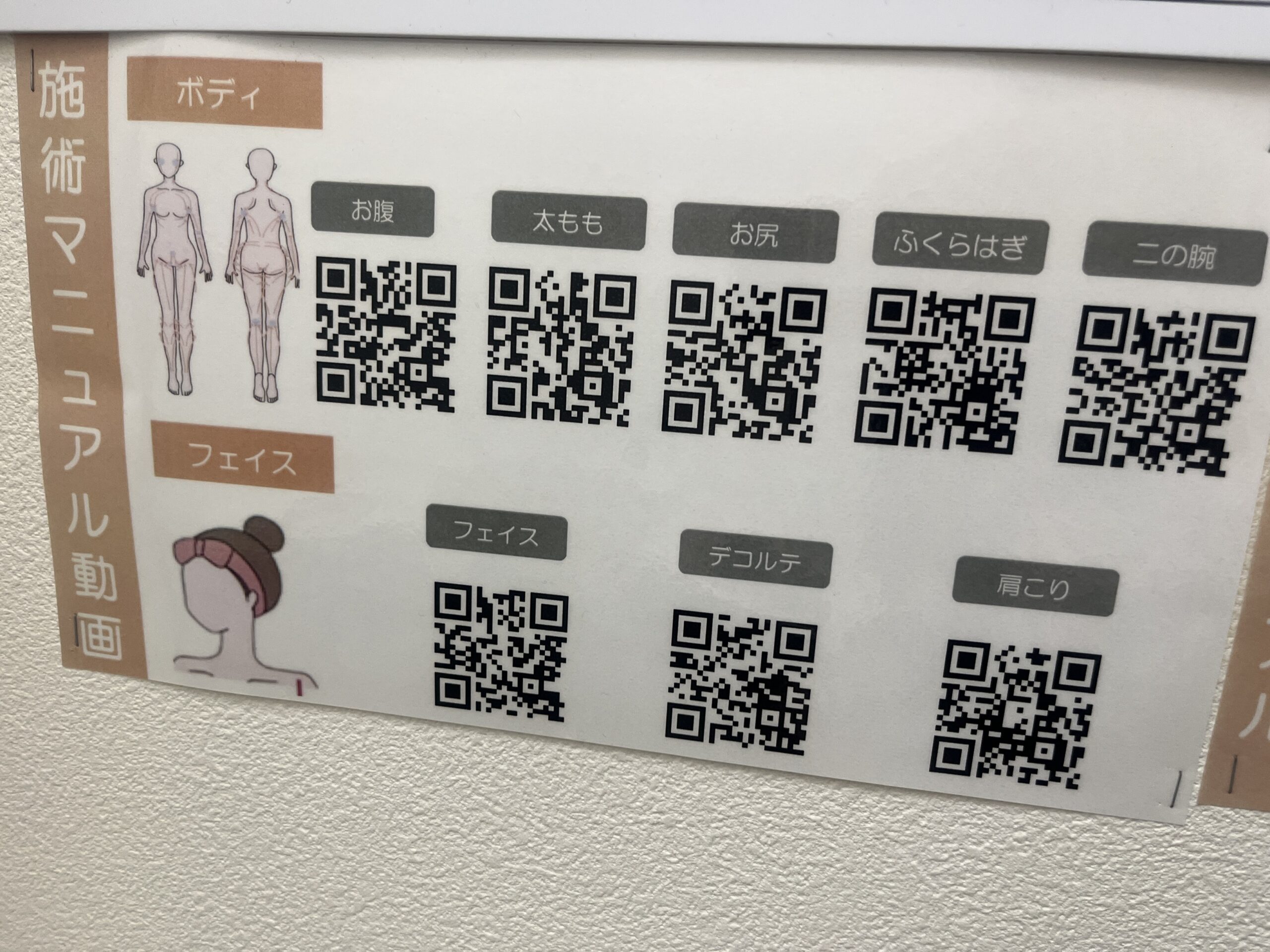 動画マニュアル