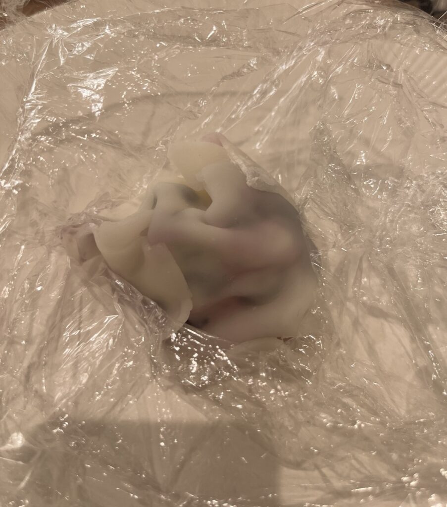 ラップで包んだブルーベリーアイス大福