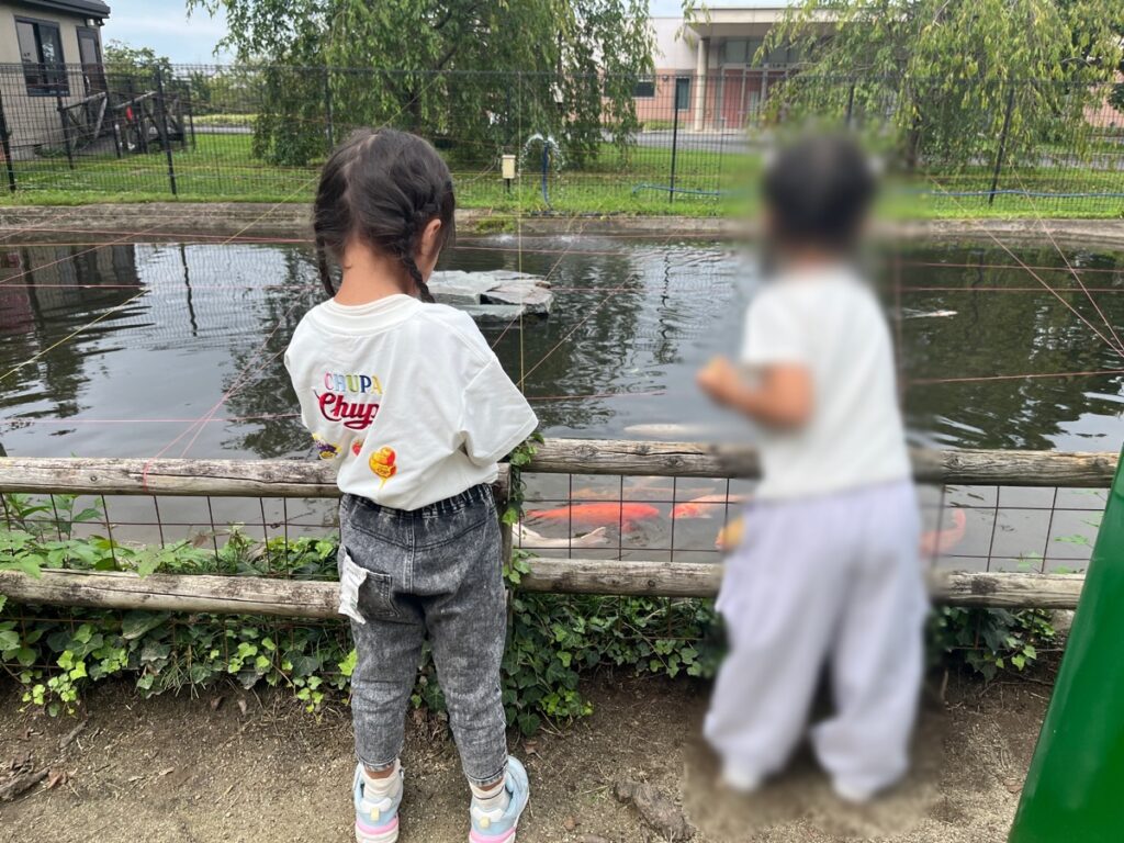 えさやりエリアの池で鯉を見る子どもたち